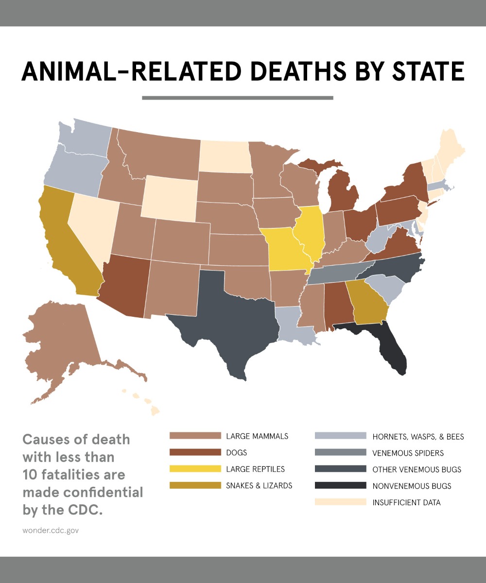Animal related deaths by state.