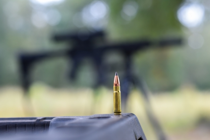 300 AAC Blackout cartridge