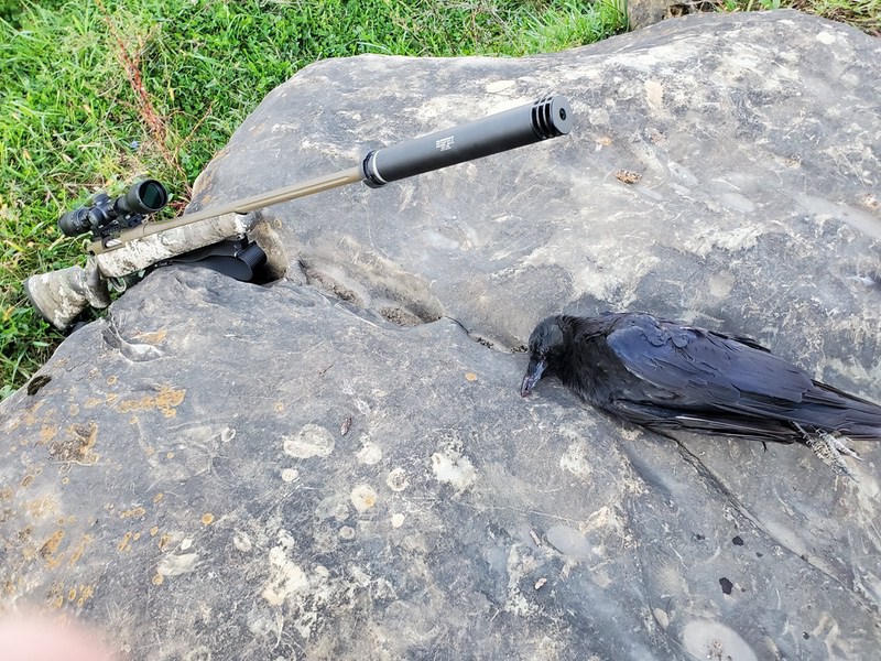 MOSSBERG PATRIOT PREDATOR 6.5 CREEDMOOR with SILENCERCO HARVESTER SUPRESSOR