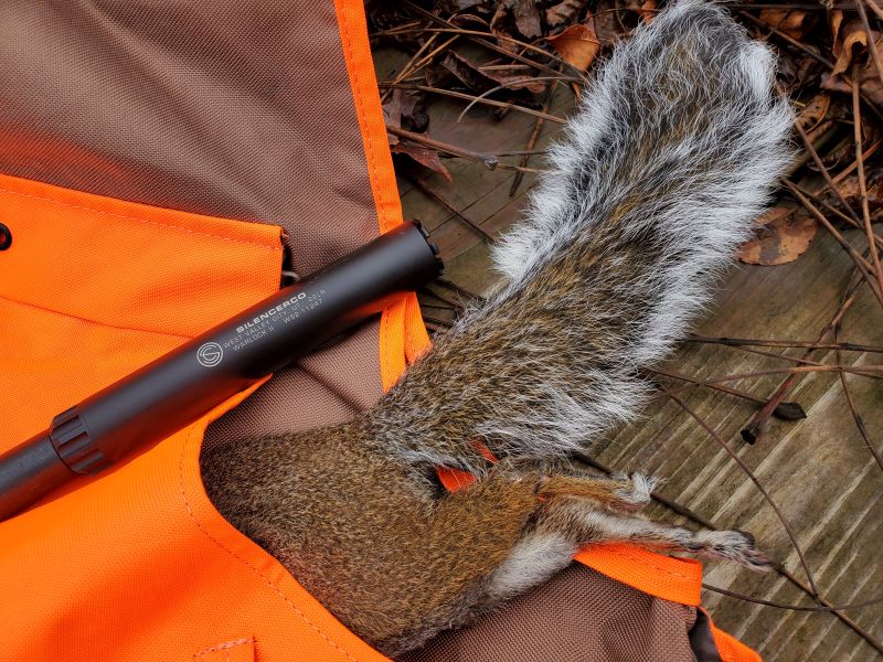 SQUIRREL IN GAME VEST WITH SILENCERCO WARLOCK 22
