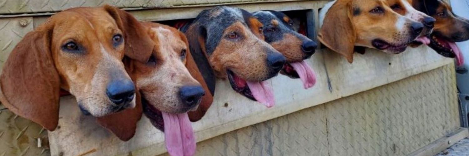 Read more about the article Bear Hunting with the SilencerCo Osprey 45