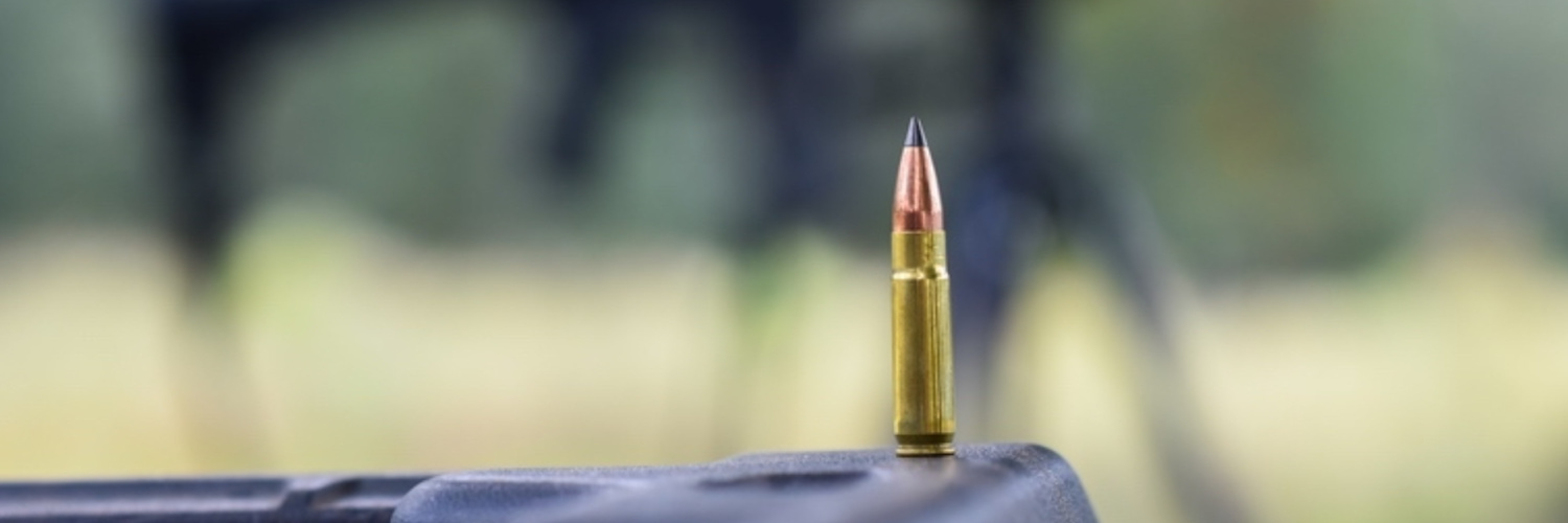 ammunition cartridge - supersonic vs subsonic feature