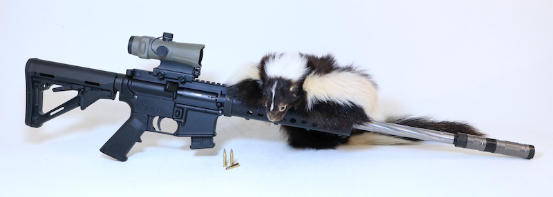 SilencerCo Switchback 17HMR Varmint