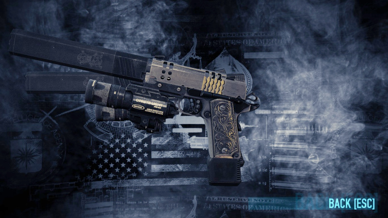 SilencerCo Osprey in PayDay2