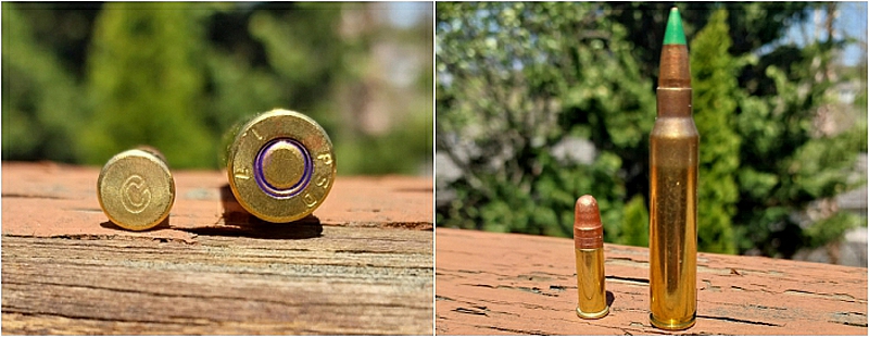.22LR rimfire and 5.56 NATO centerfire cartridges compared