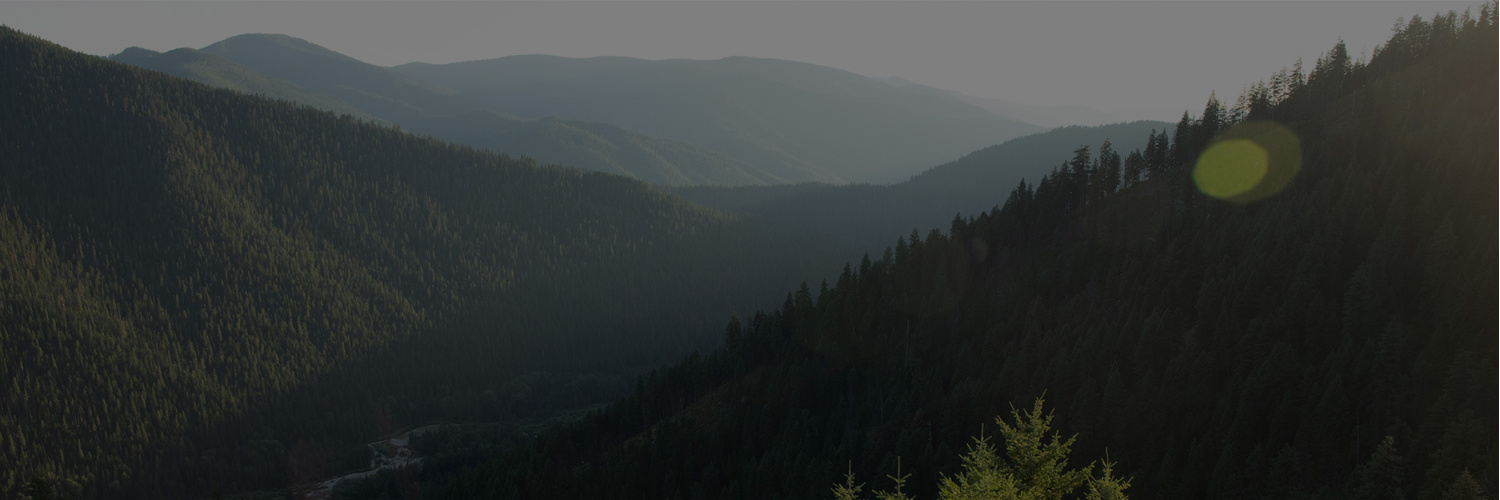 Read more about the article SilencerCo – Best Suppressors for .22 in 2023