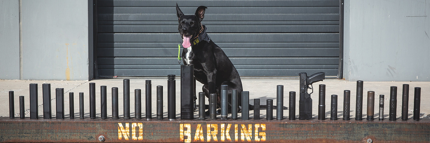 Dog with SilencerCo suppressors - How to Buy a Suppressor