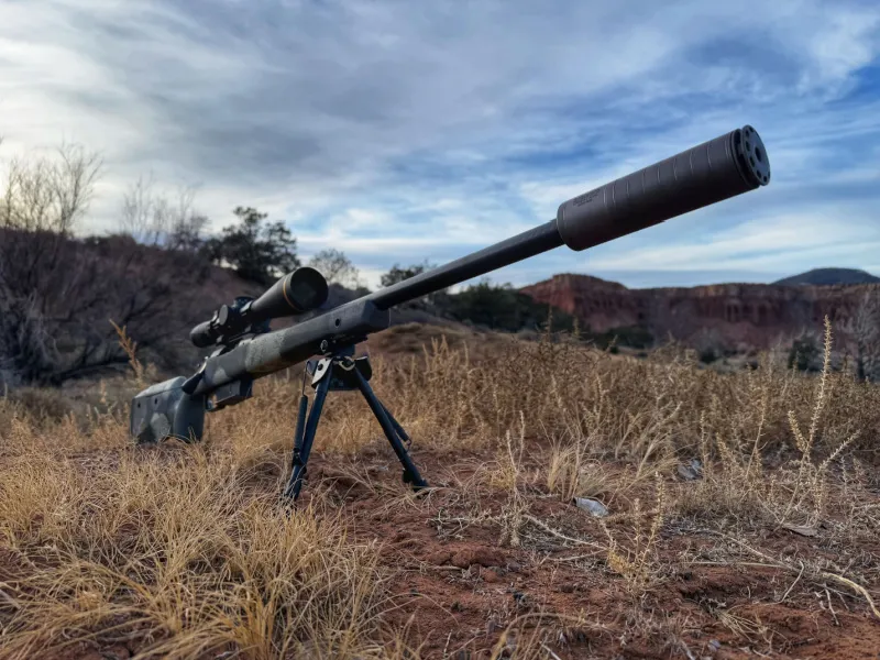 Springfield Armory Waypoint 2020 with SilencerCo Omega 36M