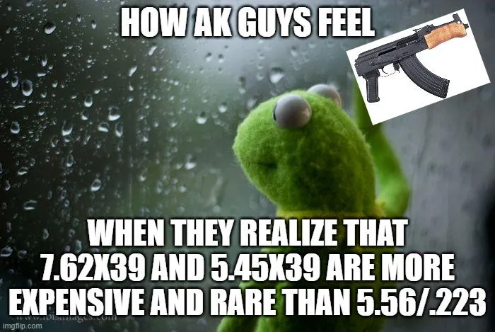 Gun meme, Kermit the frog looking out the window on a rainy day. Text: How AK guys feel when they realize that 7.62x39 and 5.45x39 are more expensive and rare than 5.56/.223