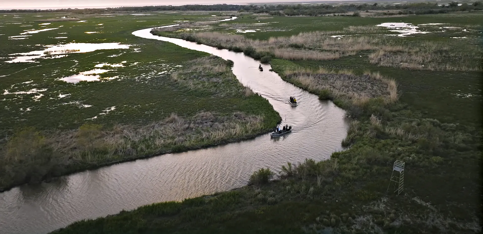 Nutria hunt on the bayou at dusk.