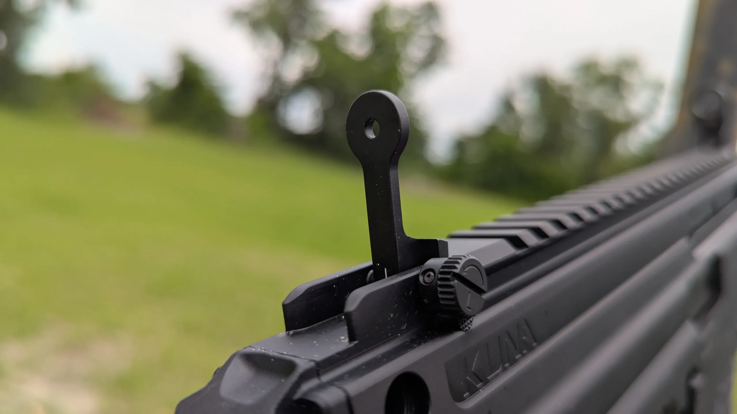 rear sight, flipped up