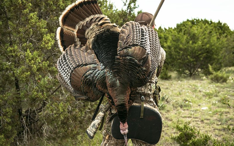 onefordiddy-img2-large